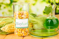 Blaenrhondda biofuel availability