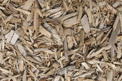 biomass boilers Blaenrhondda